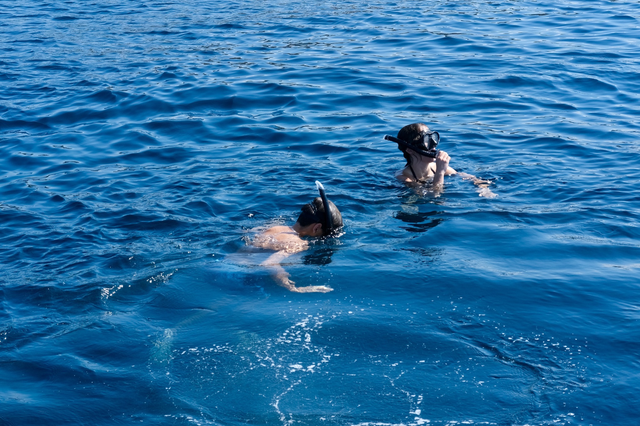 Corsica 2022   28 of 136